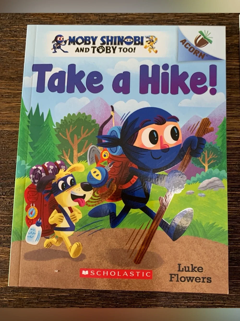 Scholastic Early Reader Lot (6 Books) – Branches & Acorn | Grades K–2